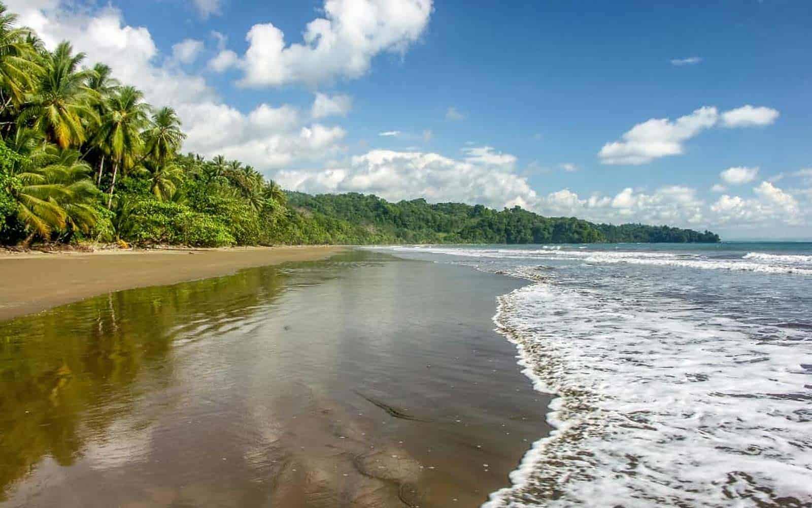 Authentic Costa Rican Jewels