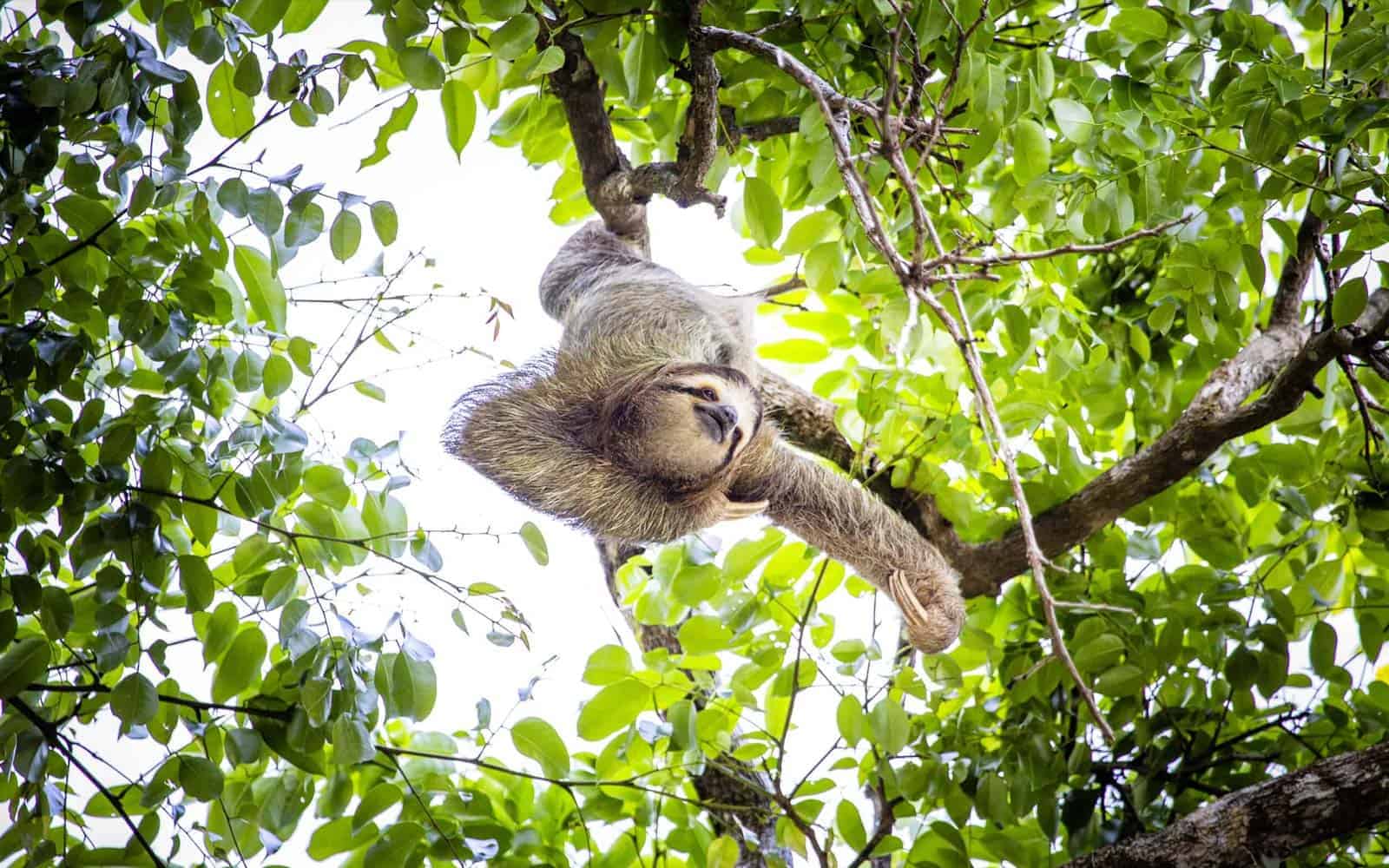 Costa Rica Blue River and Volcanoes Tour