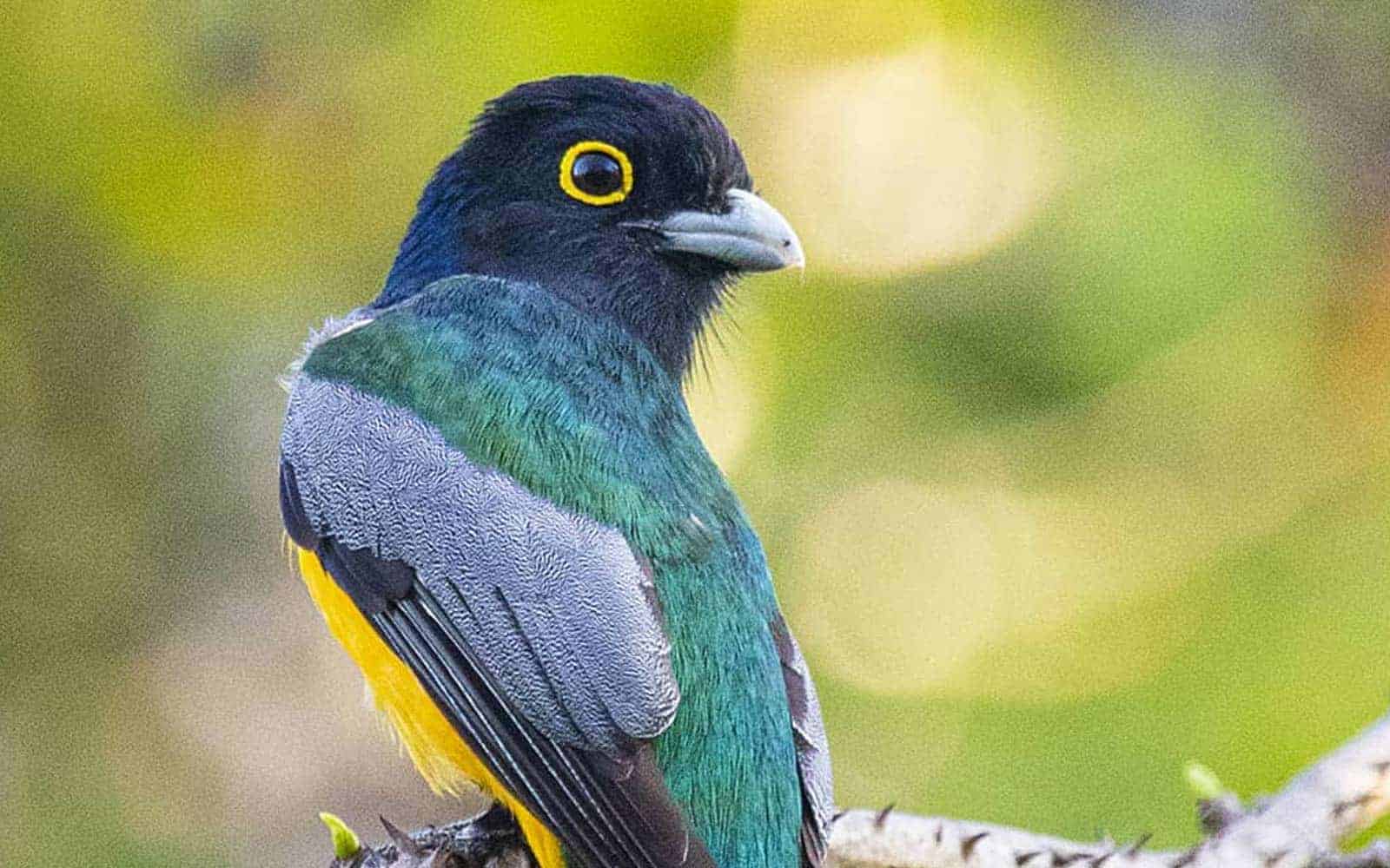 Costa Rica Blue River and Volcanoes Tour