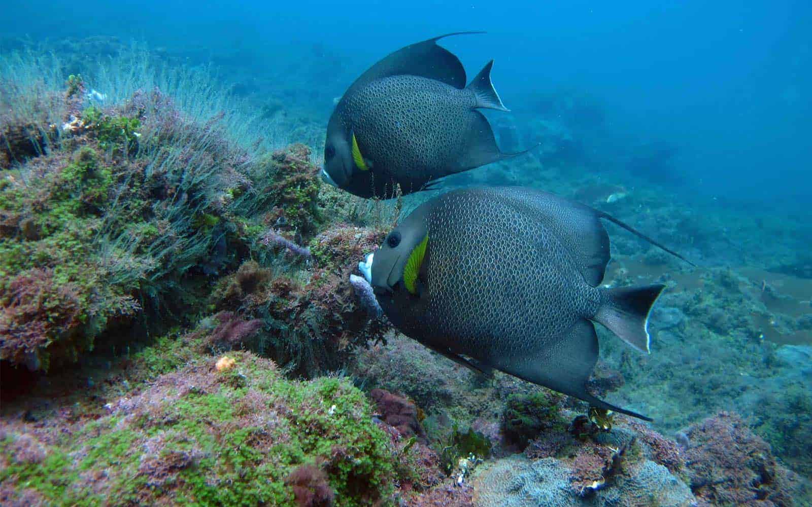 Costa Rica Adventure Tour