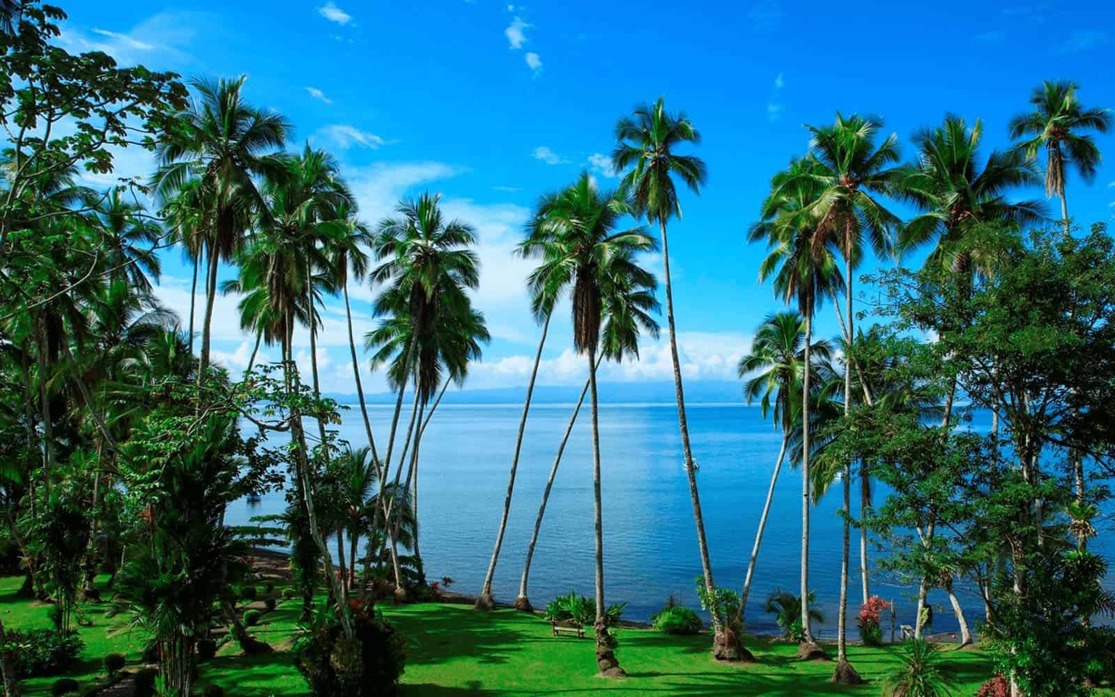 Costa Rica Deluxe South Pacific Tour