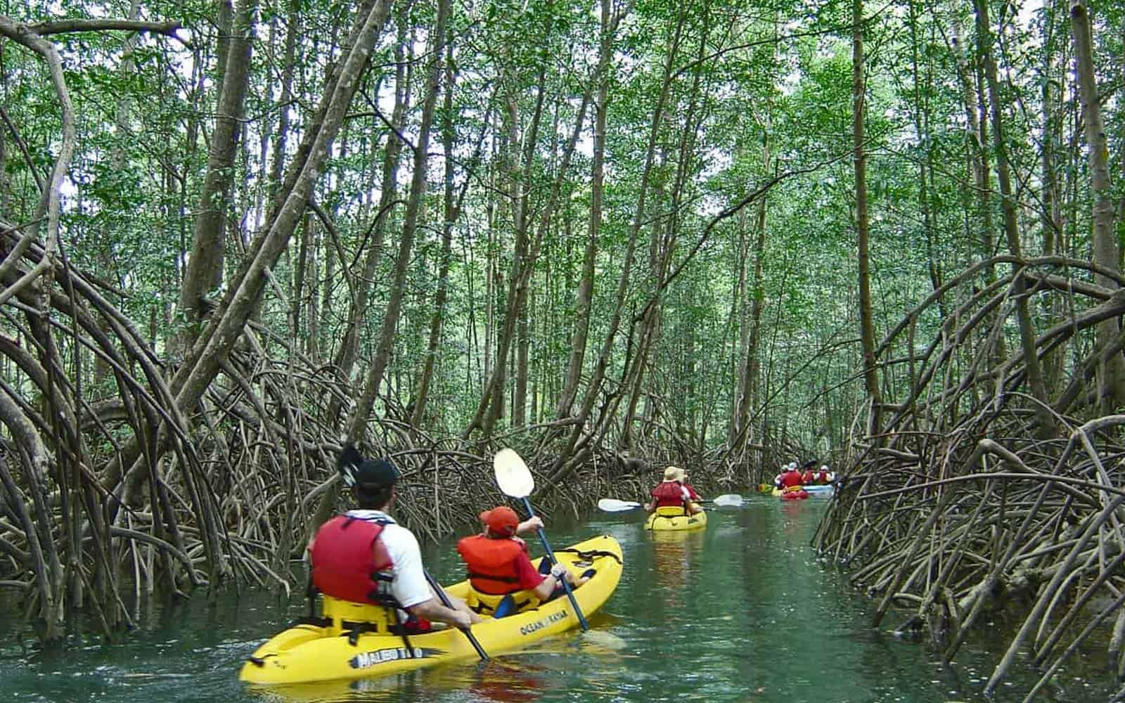 Costa Rica Deluxe South Pacific Tour