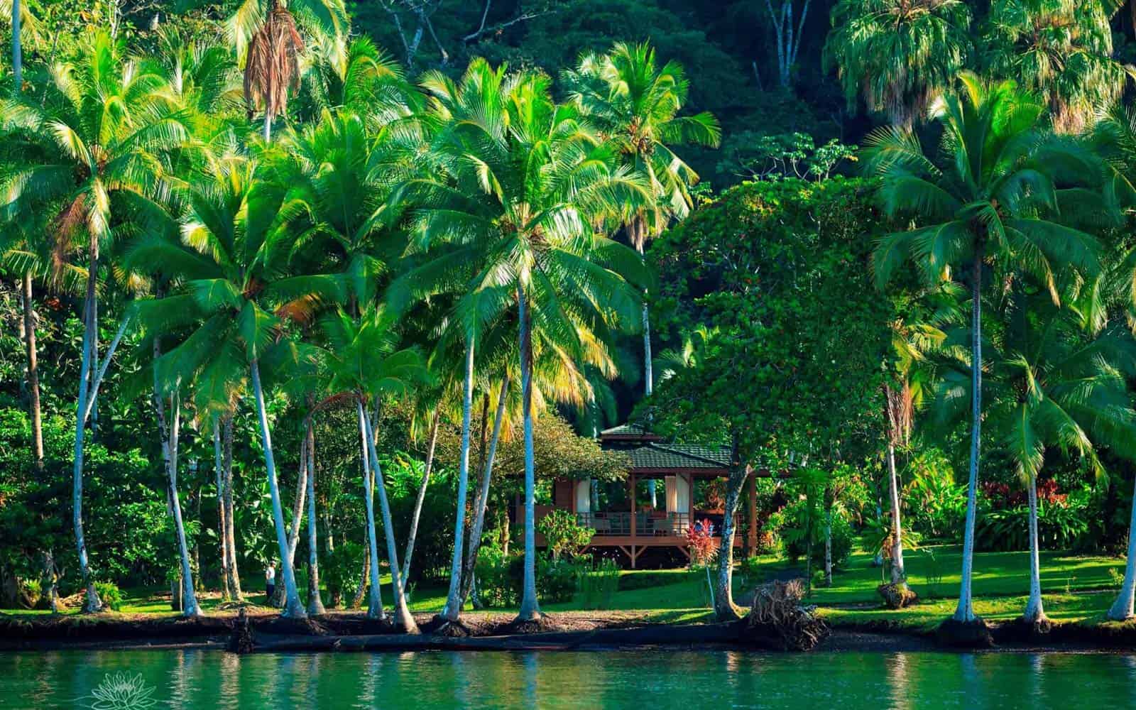 Costa Rica Deluxe South Pacific Tour