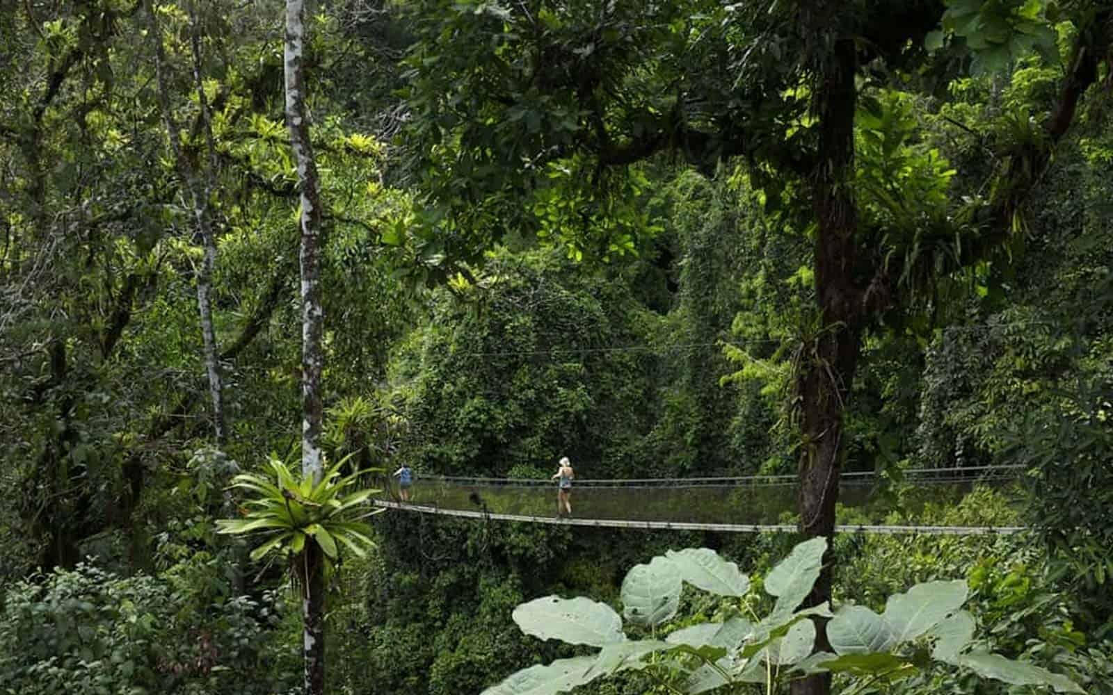 Costa Rica Explorer Tour