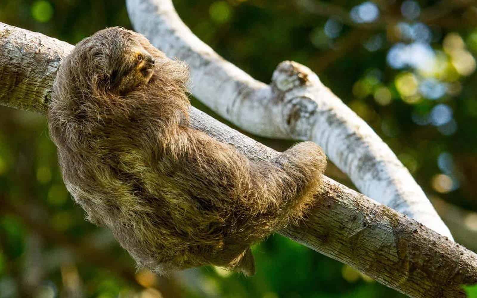 Costa Rica Explorer Tour