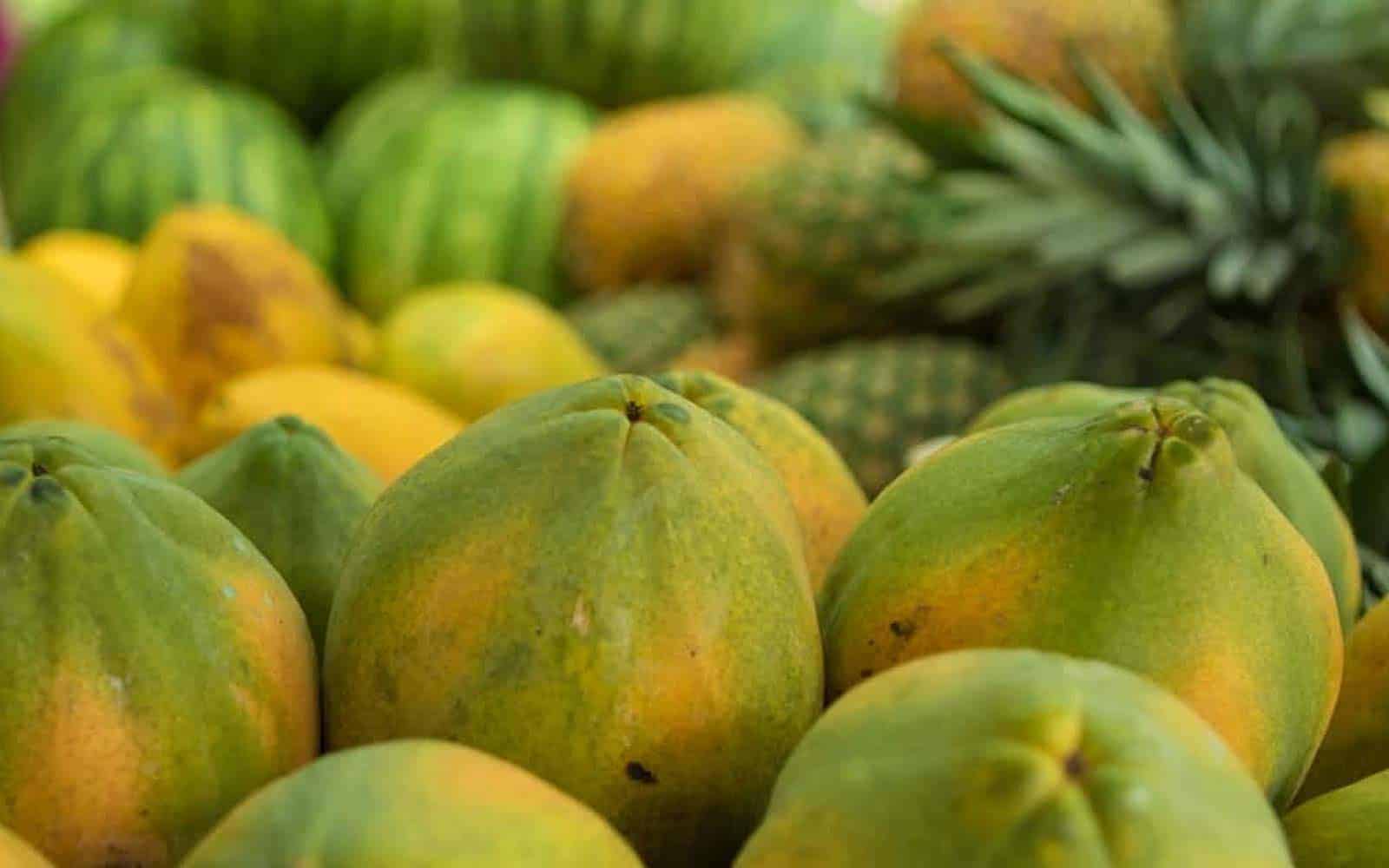 Costa Rica Explorer Tour