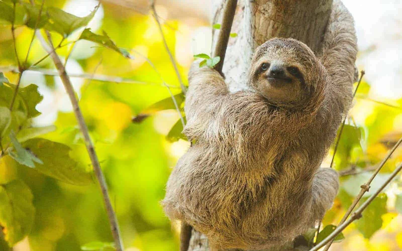 Costa Rica Family Vacation
