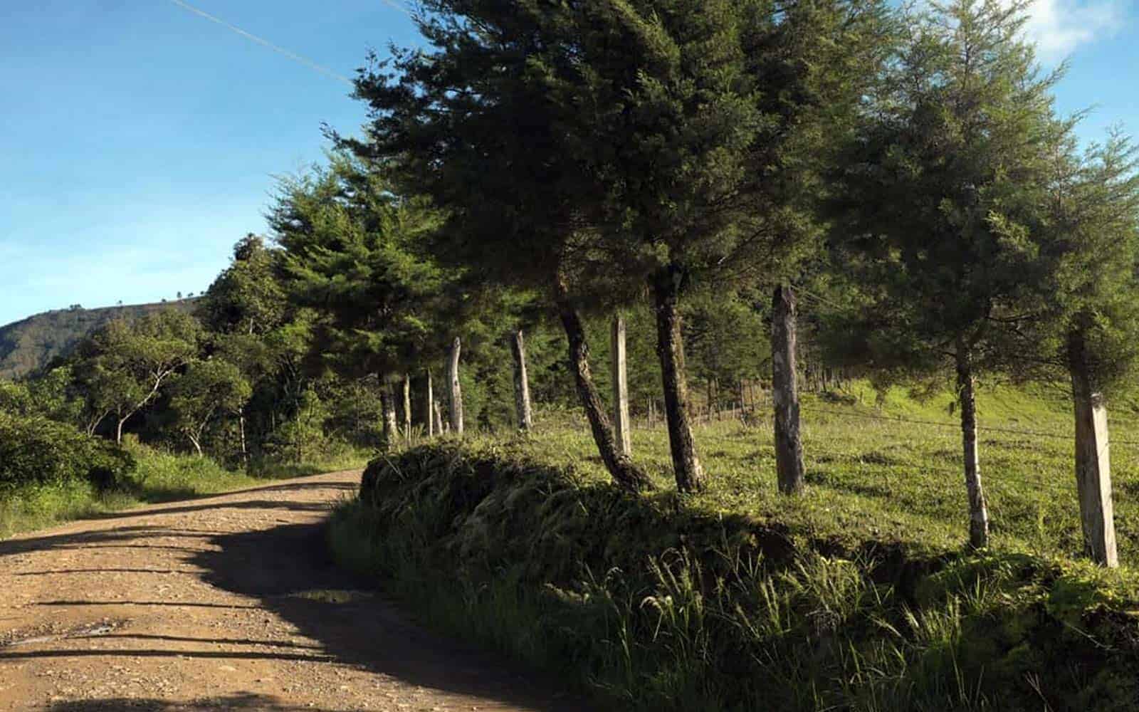 El Camino De Costa Rica Trekking Tour