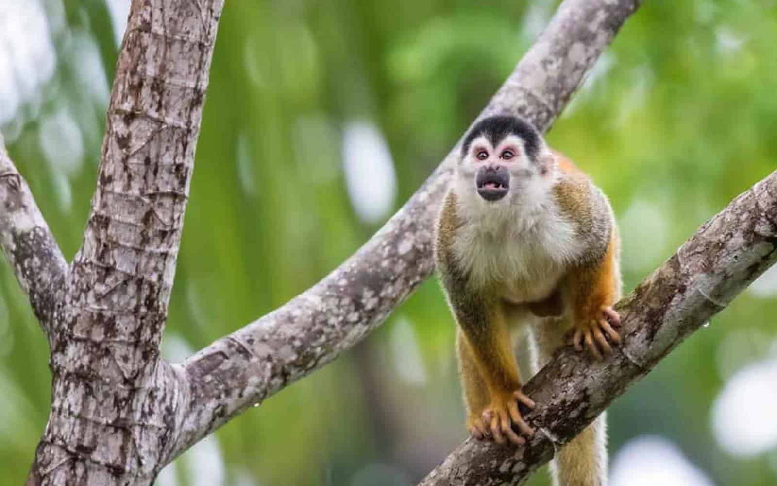 El Camino De Costa Rica Trekking Tour