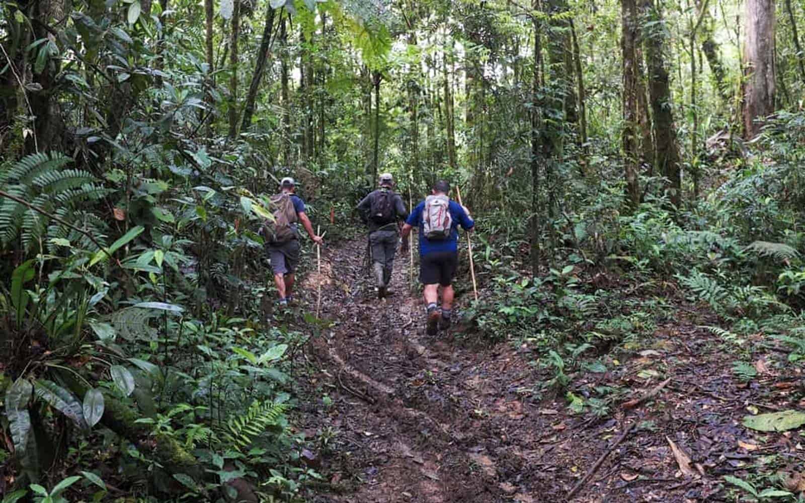 El Camino De Costa Rica Trekking Tour