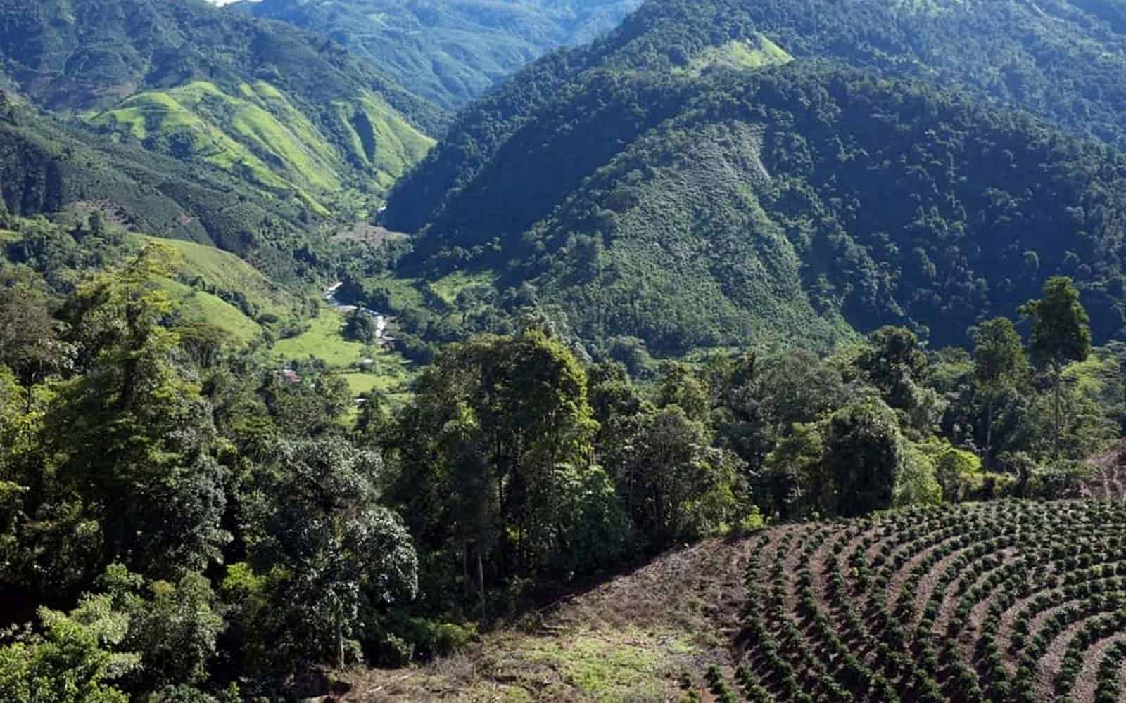 El Camino De Costa Rica Trekking Tour