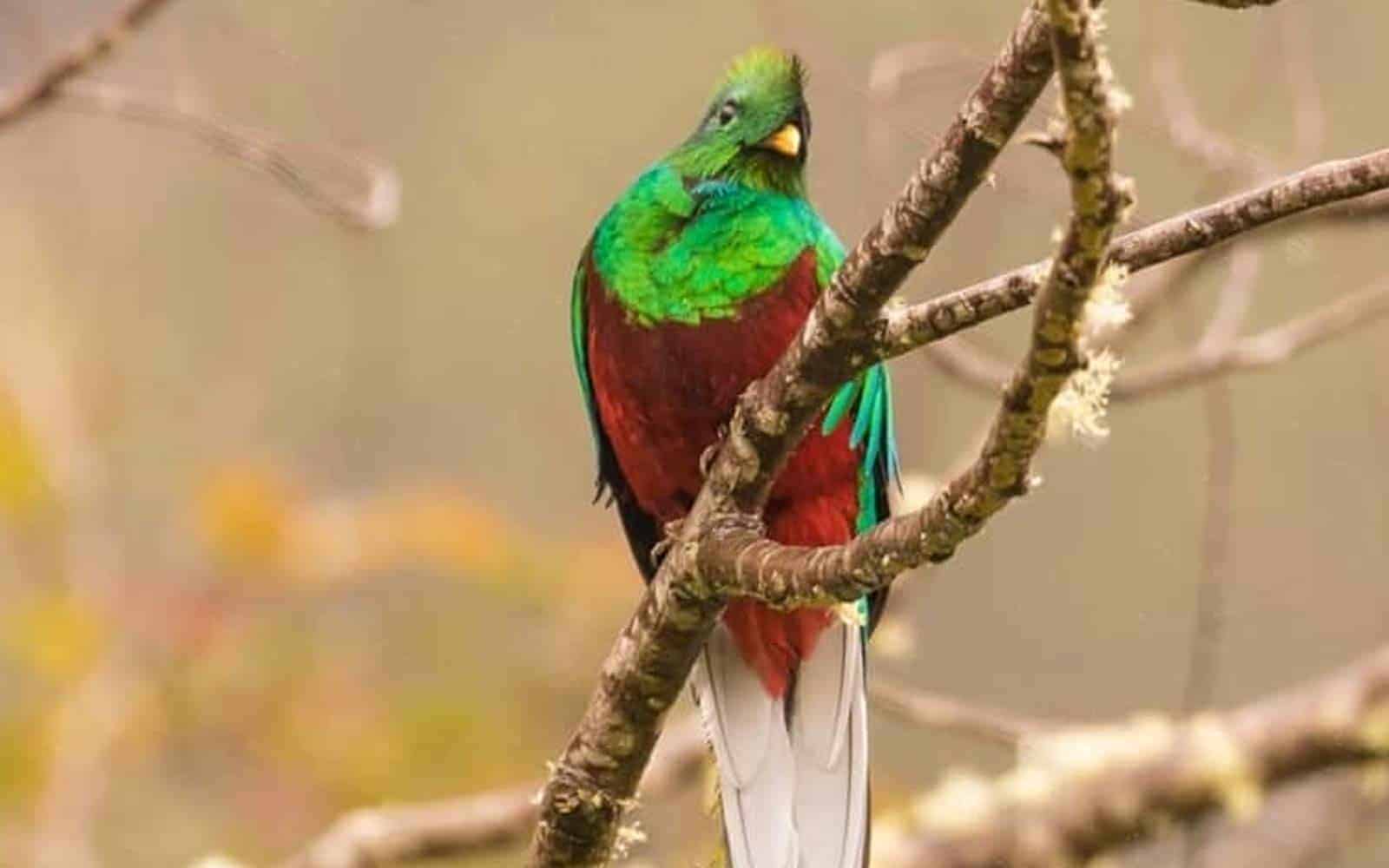 El Camino De Costa Rica Trekking Tour