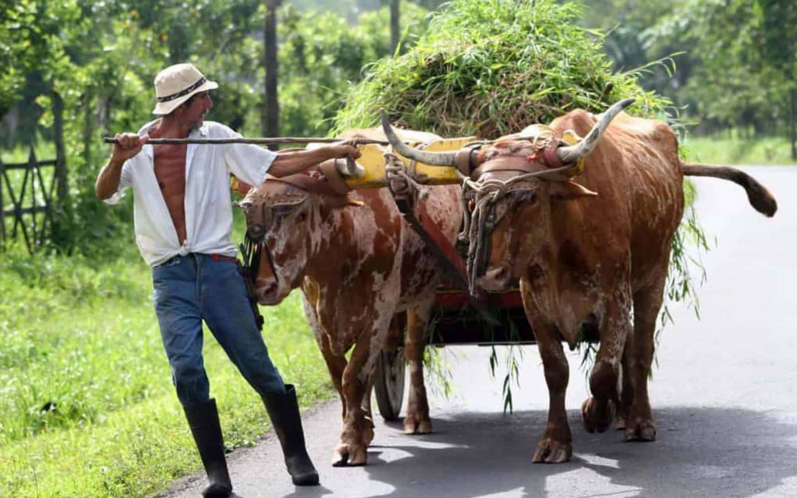 El Camino De Costa Rica Trekking Tour