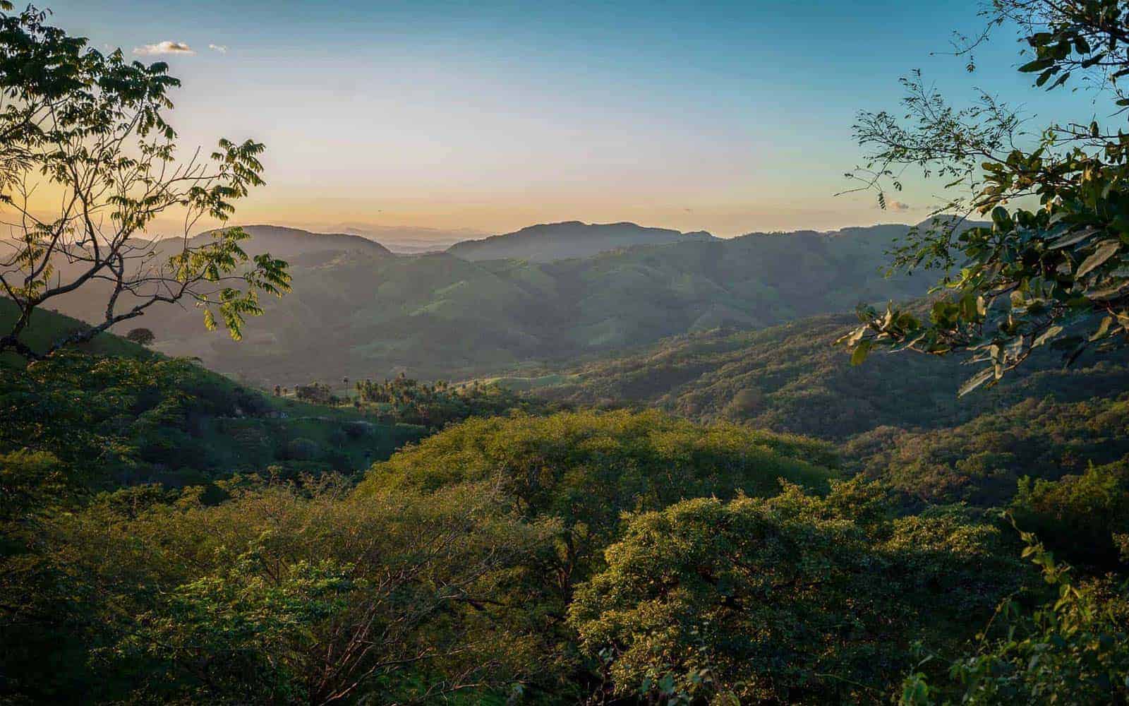 Monteverde Cloud Forest Tour