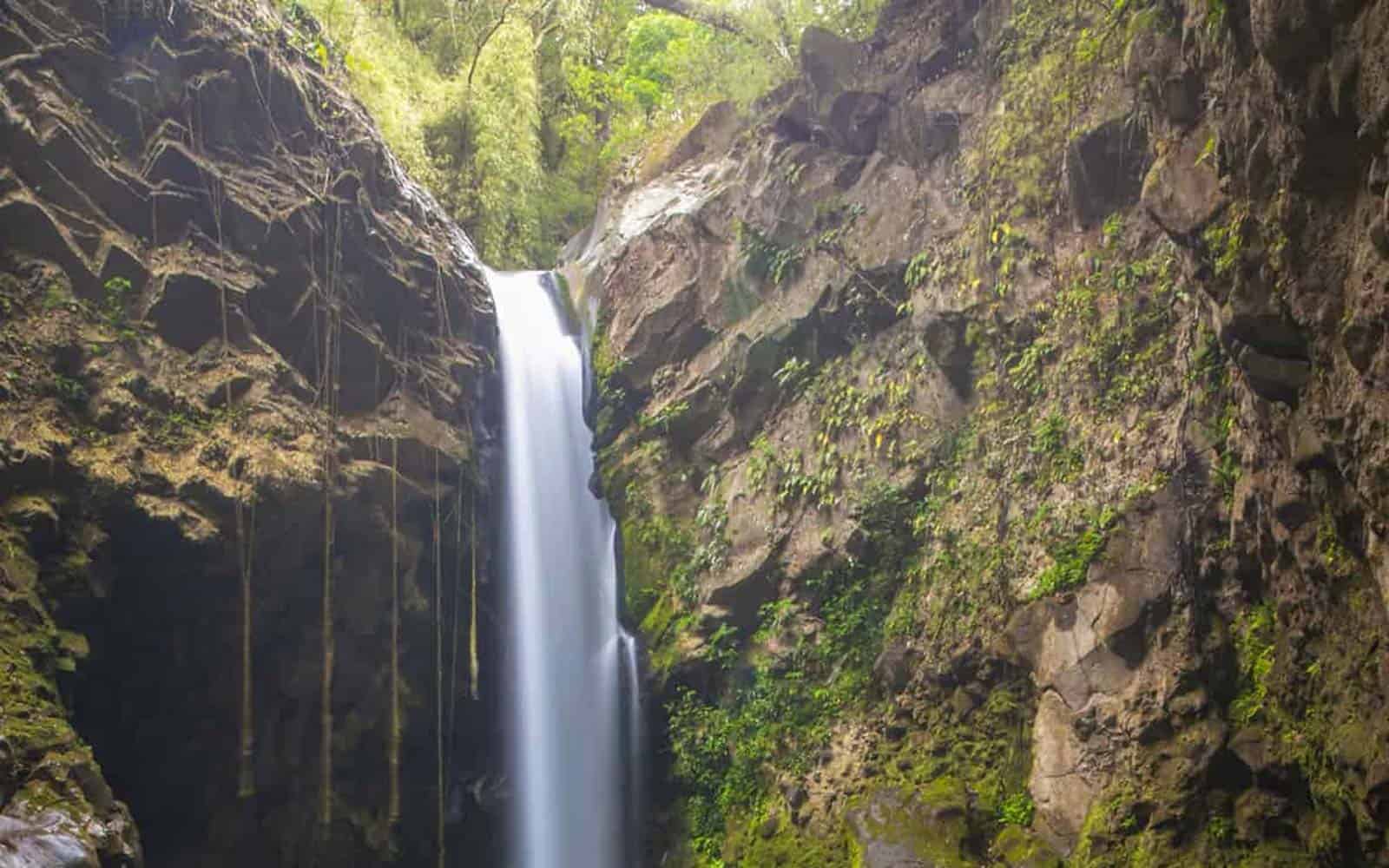Costa Rica The Northern Explorer Tour