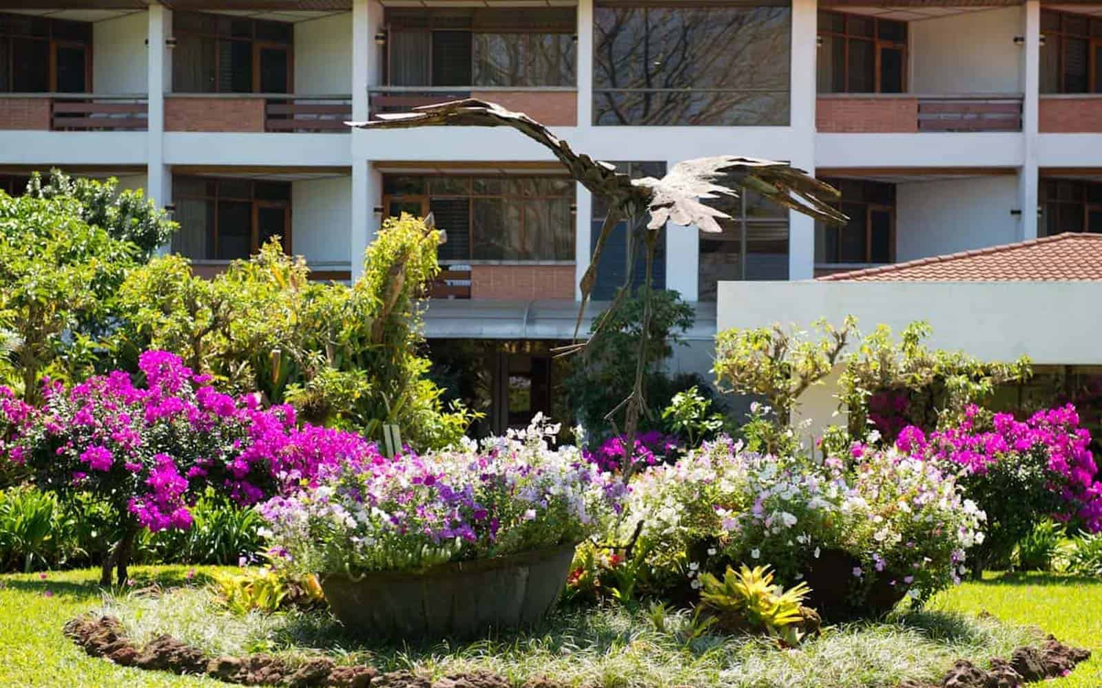 Bougainvillea Hotel