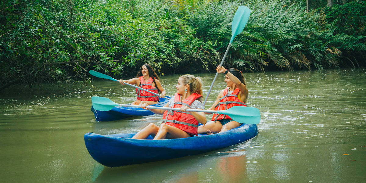 Manuel Antonio Damas Island Mangrove Tour