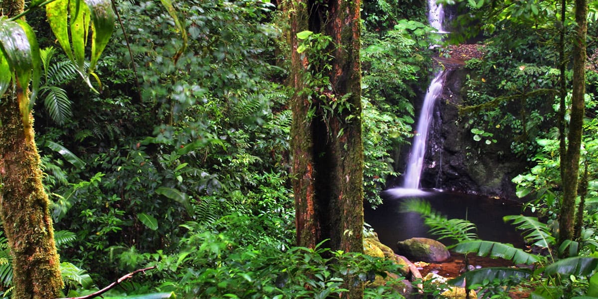 Monteverde Tours Costa Rica