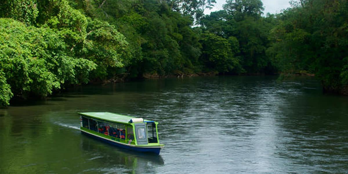 Sarapiquí River Boat Safari