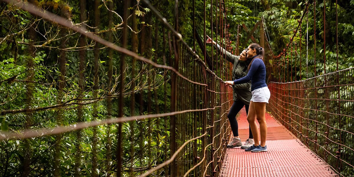 Costa Rica Unique Experiences Hanging Bridges Tour