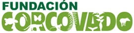 Corcovado Foundation
