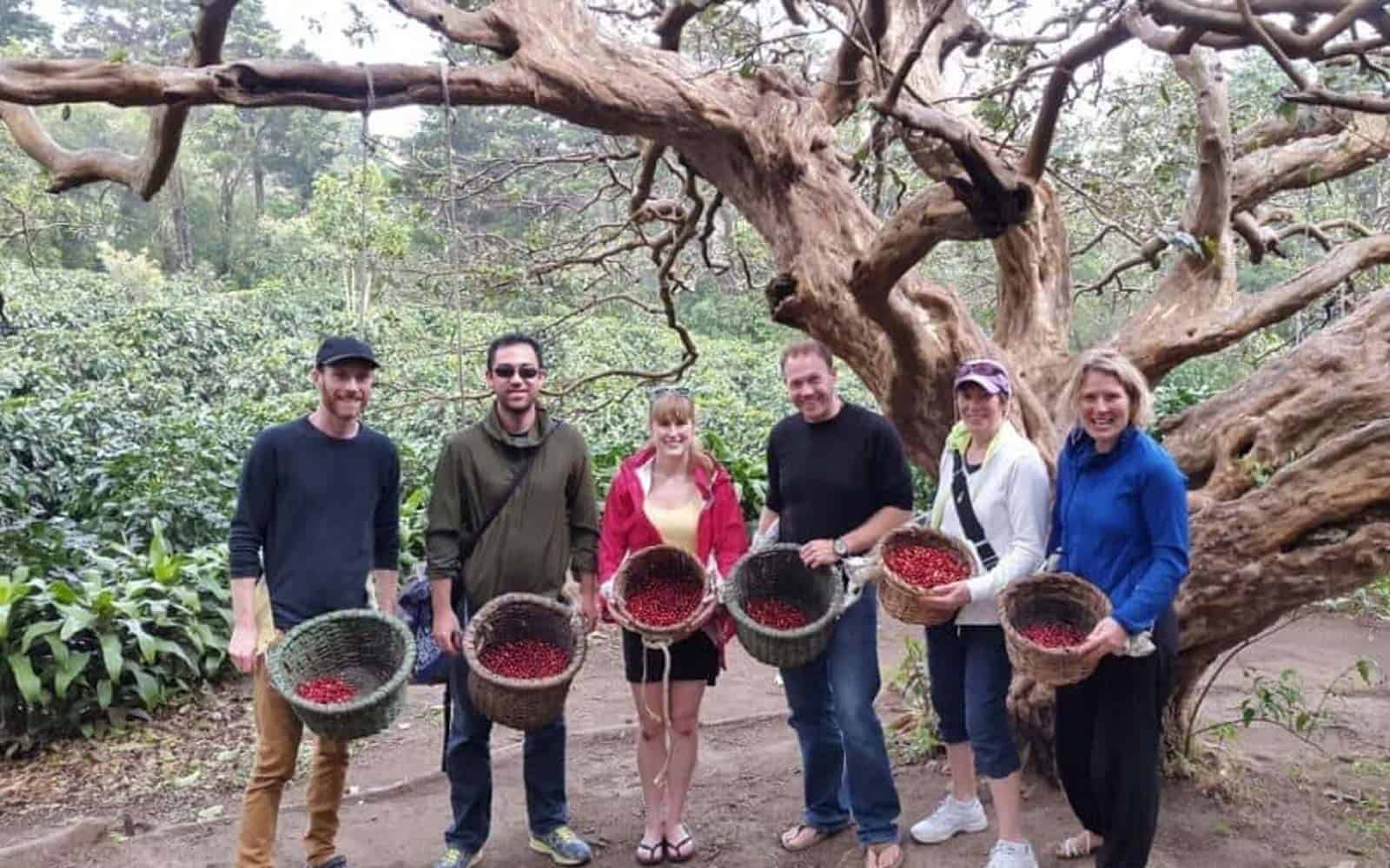 Costa Rica Beaches and Coffee Tours