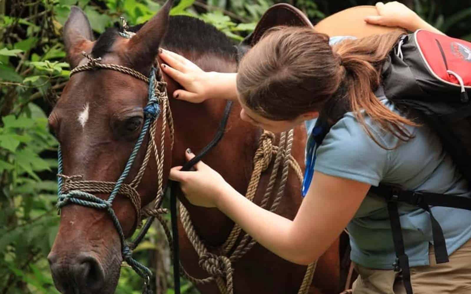 Costa Rica Ultimate Family Getaway