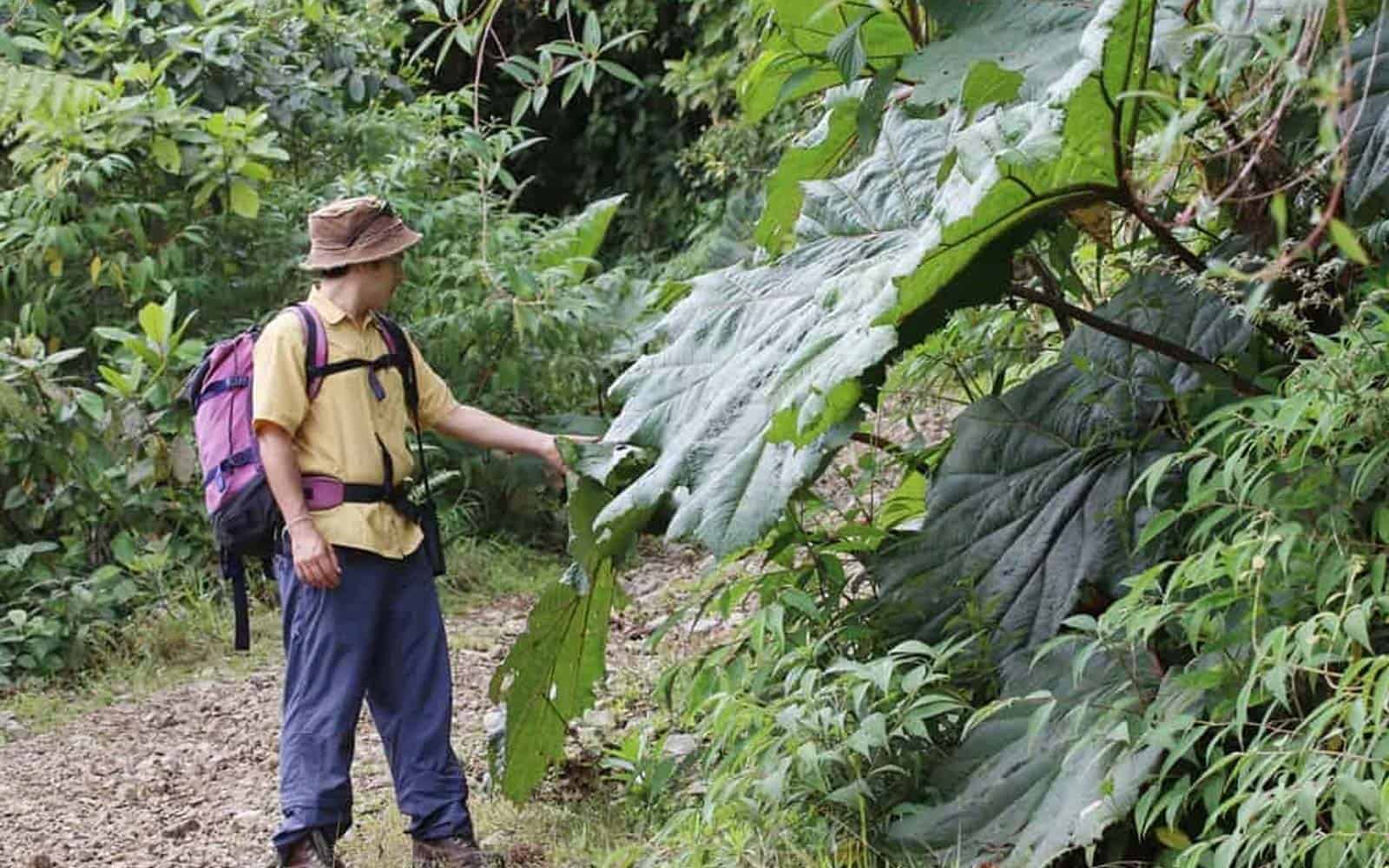 El Camino De Costa Rica Trekking Tour