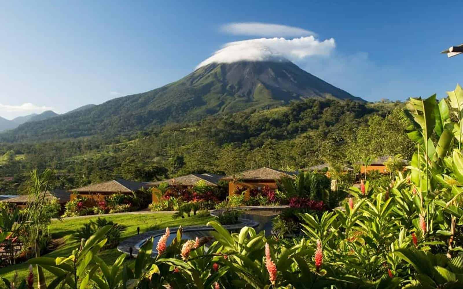 Tortuguero and Tropical Rainforests Tour
