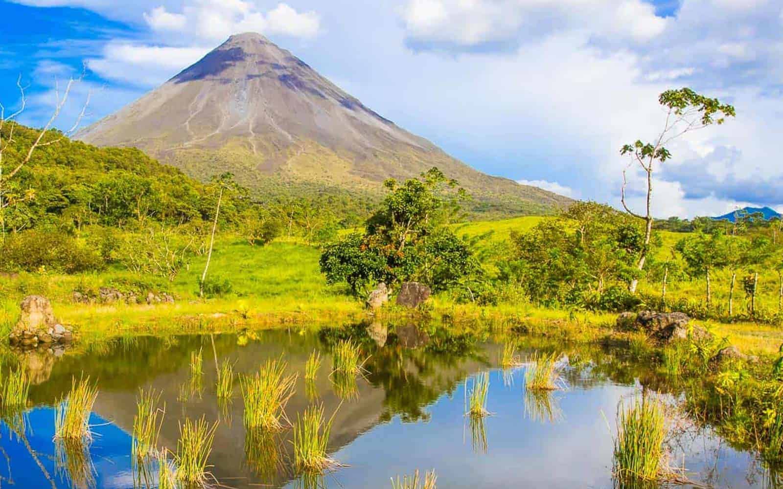 Tortuguero and Tropical Rainforests Tour
