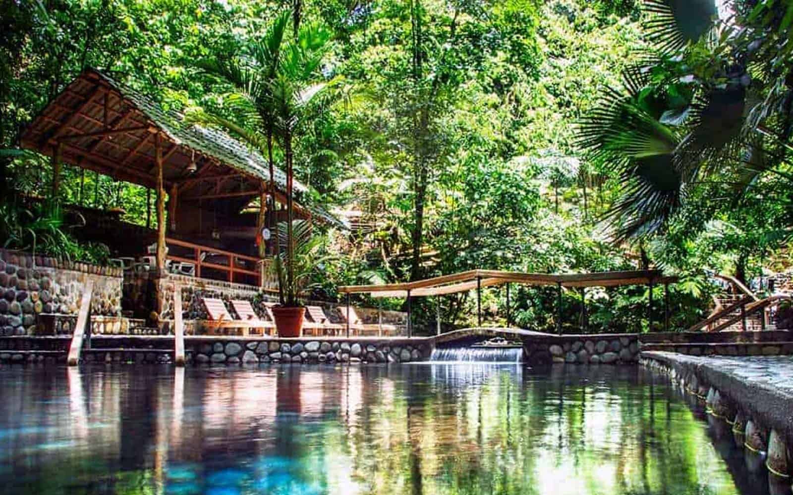 Tortuguero and Tropical Rainforests Tour