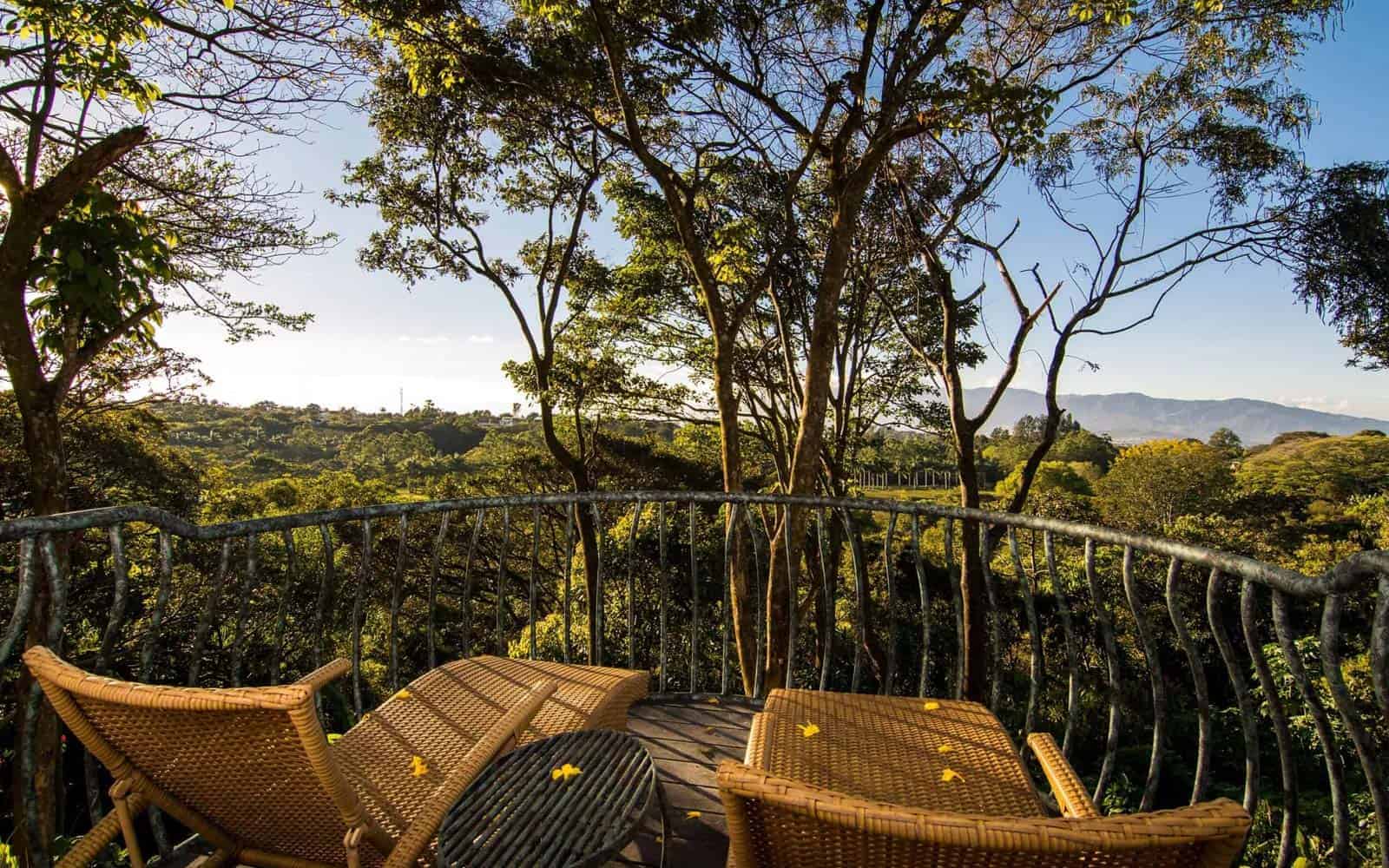 Finca Rosa Blanca