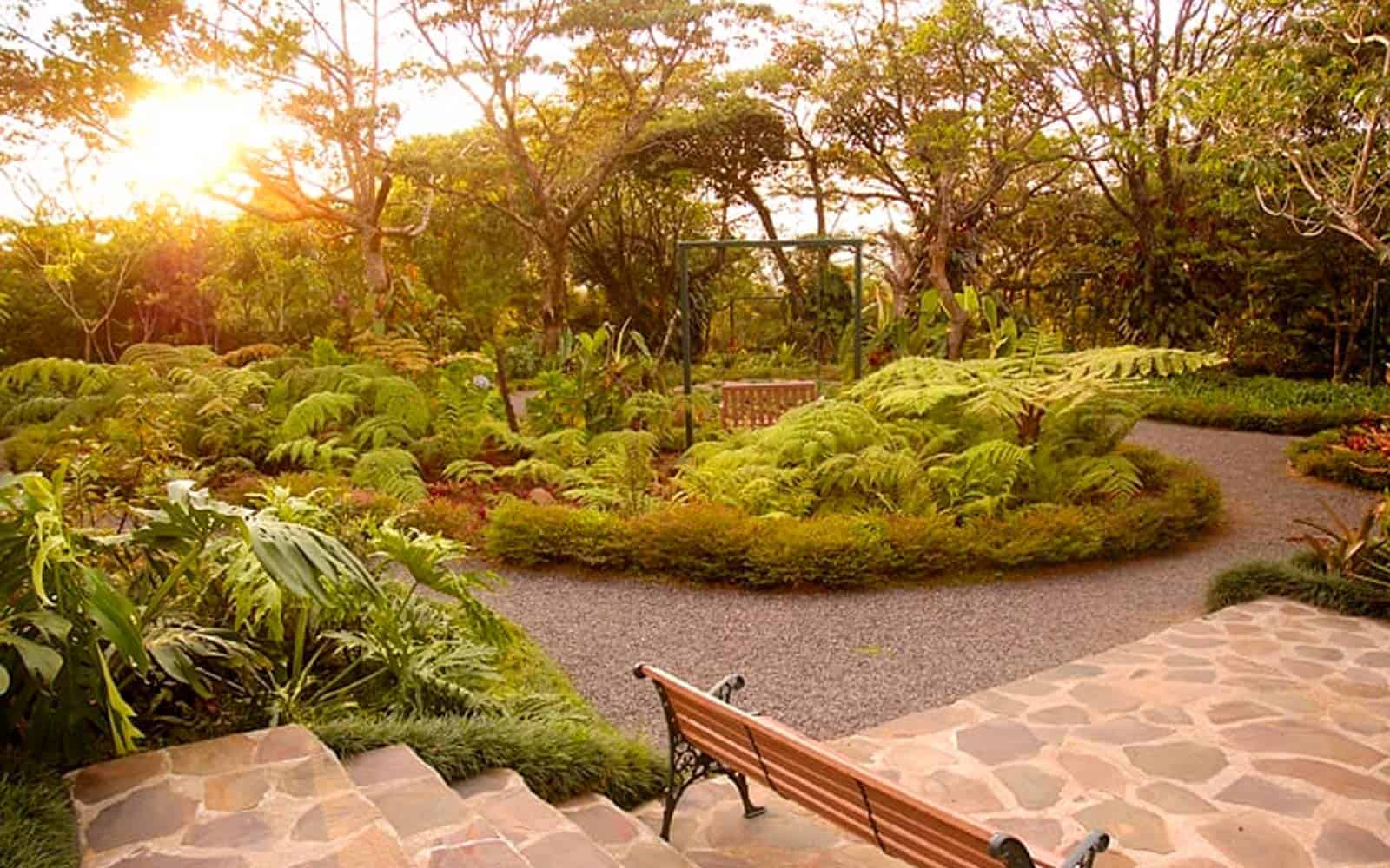 Monteverde Lodge
