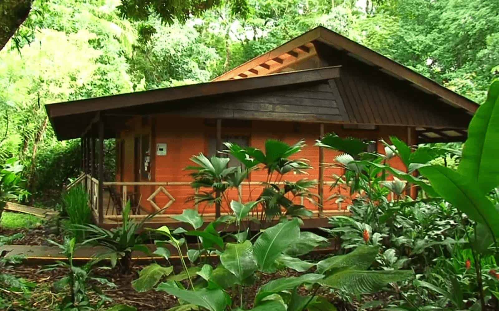 Pachira Lodge