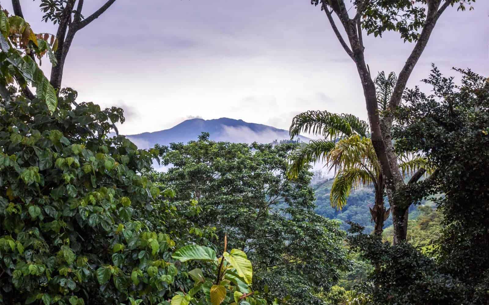 Rancho Naturalista
